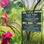 エルサレム植物園 / The Jerusalem Botanical Gardens